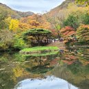 단풍에 고장,,내장산 산행 이미지