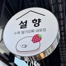 소예모찌 | 과일모찌 디저트 맛집 설향모찌 내포점