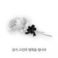 혁성실업(주) 네이버블로그