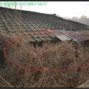 신죽마을회관 이미지