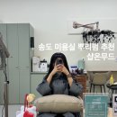 동일애견샵 | 송도 미용실 뿌리펌 잘하는 1인샵 샵온무드 재방문 후기