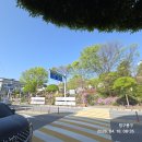 번개출조!동출! 이미지