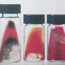 원무역상사 이미지