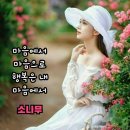 서호동-71 이미지