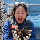 종덕농장 이미지