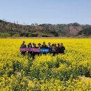 신풍공원 이미지