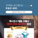 원더버디 이미지