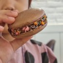 까마로사커피 이미지