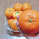 동일농원 이미지