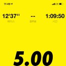 너는 내 댕댕 이미지