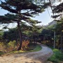 세종 행정사 사무소 이미지