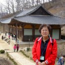 영주 부석사 무량수전 이미지