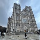 크리스마스콘서트 <화이트 세레나데> | 2025 케이윌 굿럭 콘서트 양일 다녀온 후기 형수님이 너무 잘생겼어요 경희대 평화의전당