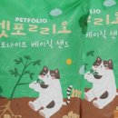 모래,그리다