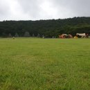 누룽지야영장 이미지