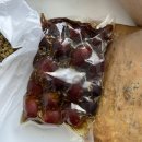 코송(KOSONG) 이미지