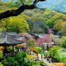 항구제2농장 투어코리아