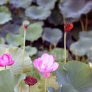 토속마을 이미지