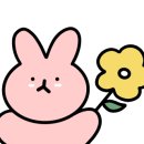 네일마인 이미지