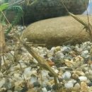 (주)인투씨엔에스 이미지