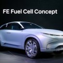 리켐코리아 이미지