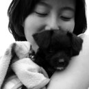 아기강아지 이미지