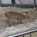 달성공원 동물병원 이미지