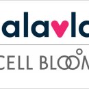 지에스제약 이미지