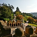 법성포 숲쟁이공원 이미지