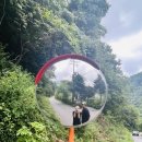 푸른계곡 | 평창 푸른카페&amp;펜션, 흥정계곡 보며 먹는 국수 맛집 후기