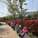 ♡도담별♡ 봄바람 솔솔 부는 숲day🌲 이미지