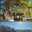 단산경로당 이미지