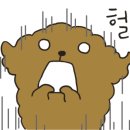 리헤어 이미지