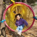 아이큰숲어린이집 | 자연과 함께하는 성장, 아이큰숲자연학교어린이집 강서구어린이집