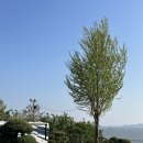 스카이랜드카라반리조트 네이버블로그