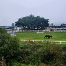 대승목장 이미지