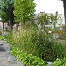 남대구초등학교 이미지