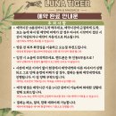 보홀 마사지샵 추천 타이거풋 스파 마사지 예약방법 • 후기
