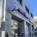 이뻐지개 | 파주 금촌애견미용 이뻐지개 (위생미용 + 목욕) 솔직 후기