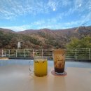 헤일로92 | 헤일로92ㅣ 애견동반 전주근교카페 추천 내돈내산