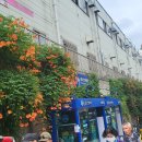 우면산7-2-2 이미지