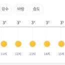 RE:1월 6일(월) 서대문 안산, 인왕산 트레킹 (화랑대장) 이미지