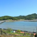 진도칠전리학계철비 이미지