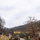 와우정사 이미지