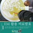 고창군농업기술센터 | [고창의 순환농부™- 고창 황토미네랄 흑수박멜론] 고온성미생물GCM + 제1인산칼륨제(EM발효) 관주