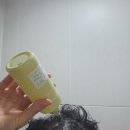 스위치스칼프 | 헤어식초공병템 기름지고 꿉꿉한 냄새나는 두피 오르제나 모링가 스칼프 퍼펙트 헤어 식초 사용 후기