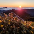 샘물식당 이미지