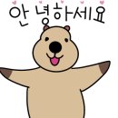 안녕맛집 바다향 왕코다리 이미지