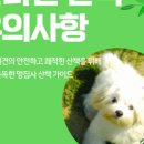 하샘펫푸드연구소 네이버블로그