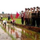 선동농장 이미지